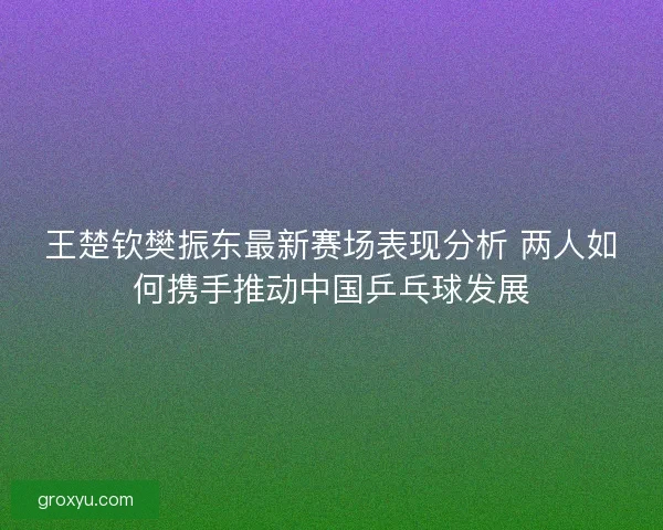王楚钦樊振东最新赛场表现分析 两人如何携手推动中国乒乓球发展