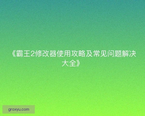 《霸王2修改器使用攻略及常见问题解决大全》