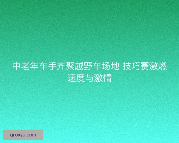 中老年车手齐聚越野车场地 技巧赛激燃速度与激情
